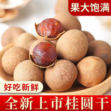 桂圆干广西博白特产32A桂圆非无核特大果500g*1包邮壳薄肉厚核小