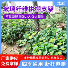 温室大棚支架拱杆批发农用菜园蔬菜育苗架子玻纤棒爬藤杆5-16MM