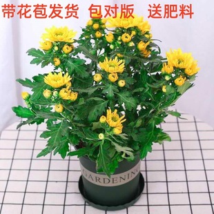 �ջ����ջ����Ԏ������҃���ͥԺ�̨���ܾGֲ���ļ��_���ջ���
