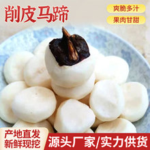 荔浦速冻白马蹄新鲜荸荠削皮马蹄肉圆清甜去皮产地批发无公害