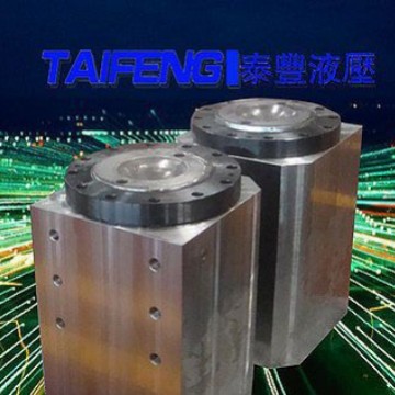 泰丰智能供应250吨马鞍山电液折弯机油缸
