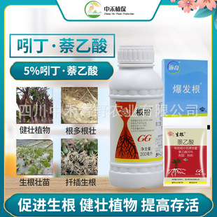 ��������������������¼�����ֲ��Ǥ��@���B�o����ͨ���rș���l