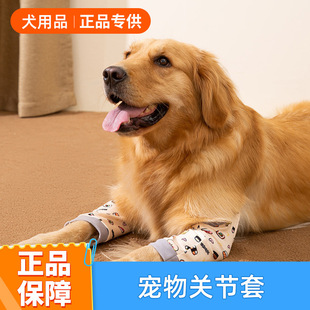 �����oϥ�P�����o�׷�ĥ��������߅������Ȯ����