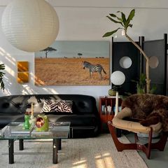 Wabi-sabi style Nordic small apartment lamb's wool shaped steel teeth hippo sofa trendy designer leisure fabric sofa