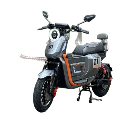 Wholesale New Models, Elektrikli motosikletlər