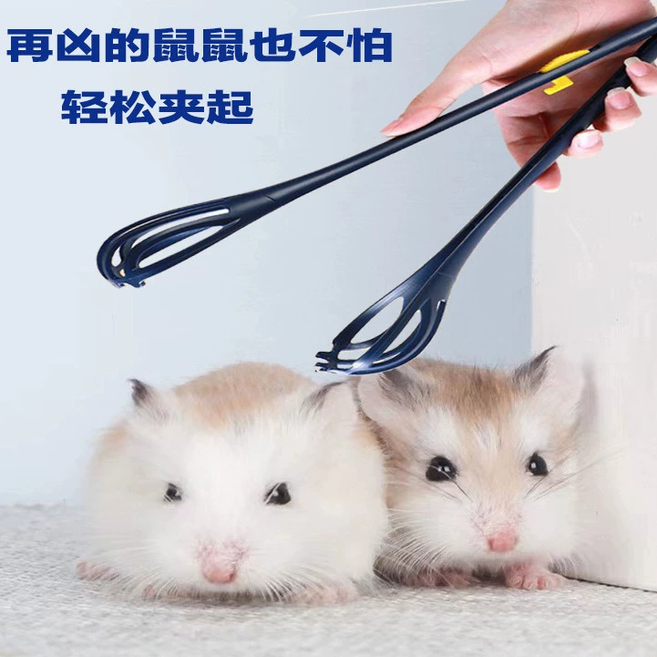 Мышеловка Зажим для мыши Хомяк Золотой медведь Защита от царапин и укусов Ежедневные принадлежности Сцена Маленькая Красная книга Такая же мышеловка