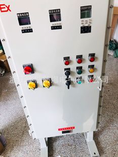 Explosion-proof distribution cabinet stainless steel explosion-proof distribution box vertical explosion-proof distribution cabinet