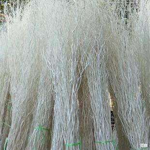 ��Ȼ������֦������֦��ɣ���P������������b�ɫ�ɻ���c���T