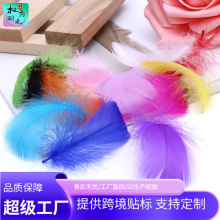 自产自销现货diy彩色小羽毛小飘羽毛鹅毛舞台婚礼波波球填充材料