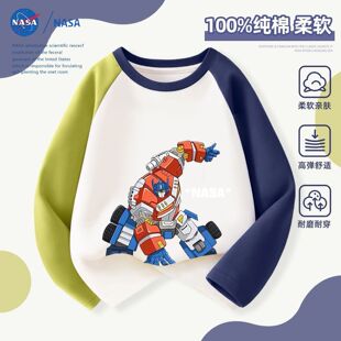 NASA����������ͯƴ������2025�¿�r�г���t���⴩�L������