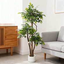 ����ʽ��������;Gֲ��������Ҹ����p�ݸ߶�����҃��bGֲ