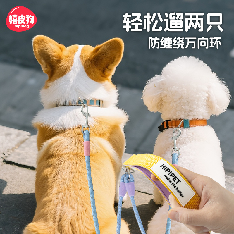 Los perros salen, perros pequeños y medianos, contraste de moda, uno arrastra tres, cuerda de tracción, muchos perros paseando a su perro, cuerda para perros, suministros para perros