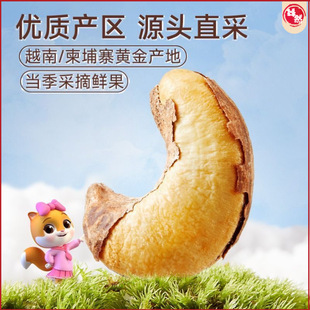 ��ֻ���� �����Ĺ��̸����͵�ľ�Թ�ϲ�����e�W�tС��ʳ���l ���]