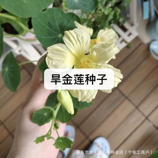 ����ɏ�N�Ӻ��ɻ��N���ļ��_���҃����̨����ͥԺ���ܷN��