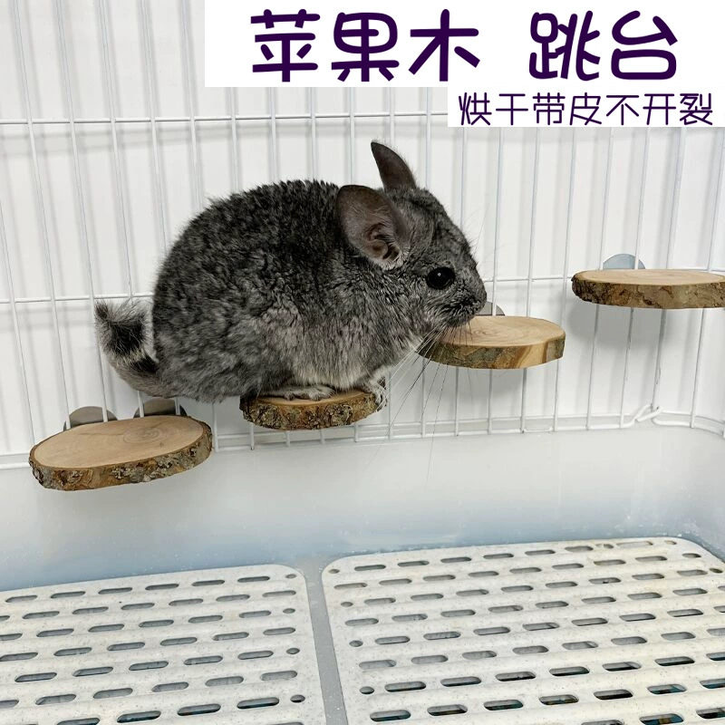 Сушка яблочного дерева прыгающая платформа Тоторо молярная игрушка белка прыгающая платформа хомяк платформа прыгающая доска лестница из цельного дерева оптом