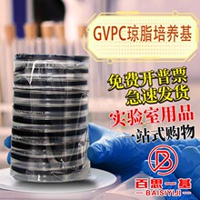 广东环凯 GVPC琼脂培养基（军团菌选择性平板） 90mmX20个
