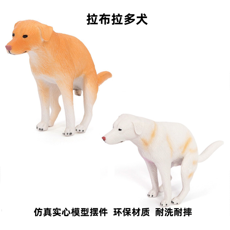 Cross-Border Children's Solid Toy Dog Figurines: Realistic Labrador, Golden Retriever, Basset Hound Models Cross-Border Children's Solid Toy Dog Figurines: Realistic Labrador, Golden Retriever, Basset Hound Models