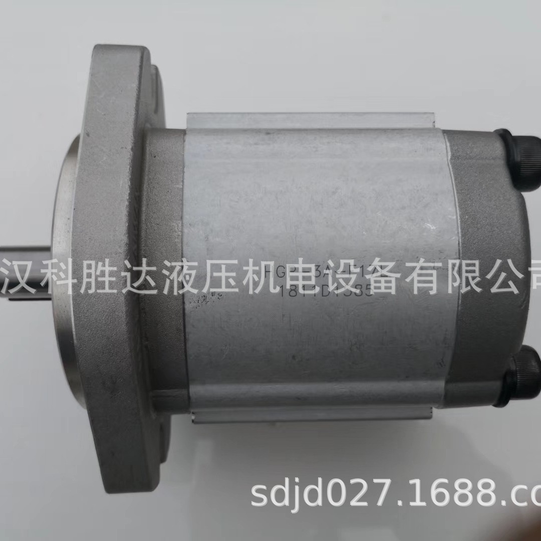 HGP-3A-F4R/F6R/F8R/F11R/F13R/F14R/F17R/F19R/F23R齿轮油泵 EGP