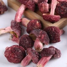 ��������ɽ�t�����lҰ����Ȼ�tĢ�����ӹ���Ұ���t���tĢ���]