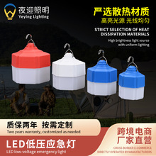 LED低压灯泡夜市摆摊超亮12V电瓶车球泡灯户外低压球泡应急灯批发
