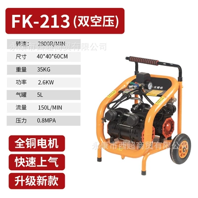 Xinhanxuan Air Pump Air Compressor Hava kompressorları - fk213-double-air-compressor-standard