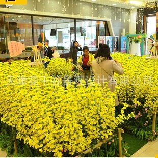 �����Ͳ˻��b��滨���͑����쾰�b�ˇ�̈����Ô[�O�ٻ�����