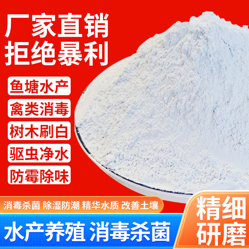 Raw Lime Powder for Fish Pond Disinfection, Bottom Modification, Water Purification, Calcium Supplementation, Industrial Water Purification, Desulfurization, and Building Materials; High-Purity White Lime Powder
