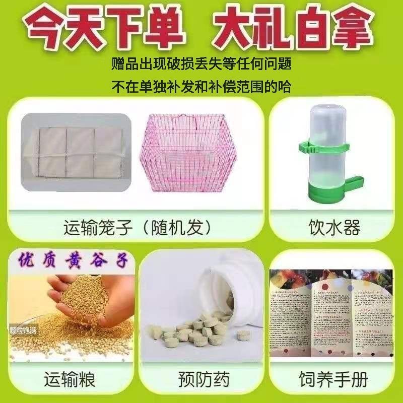 O1CN01jRAZbg1RLYbXpkAmG_!!2215837082095-