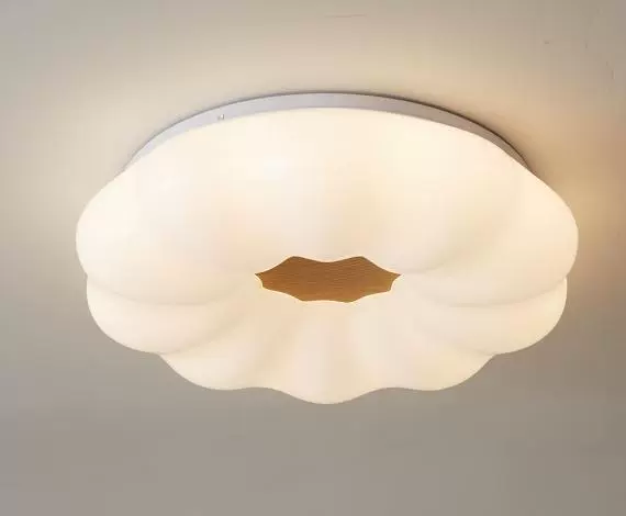 Creative LED modern ceiling light, lights for bedroom for living room, comfortable light spectrum