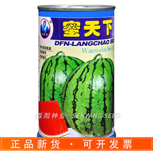 浪潮蜜天下西瓜种子极早熟薄皮抗裂高产花皮麒麟西瓜精品美都8424