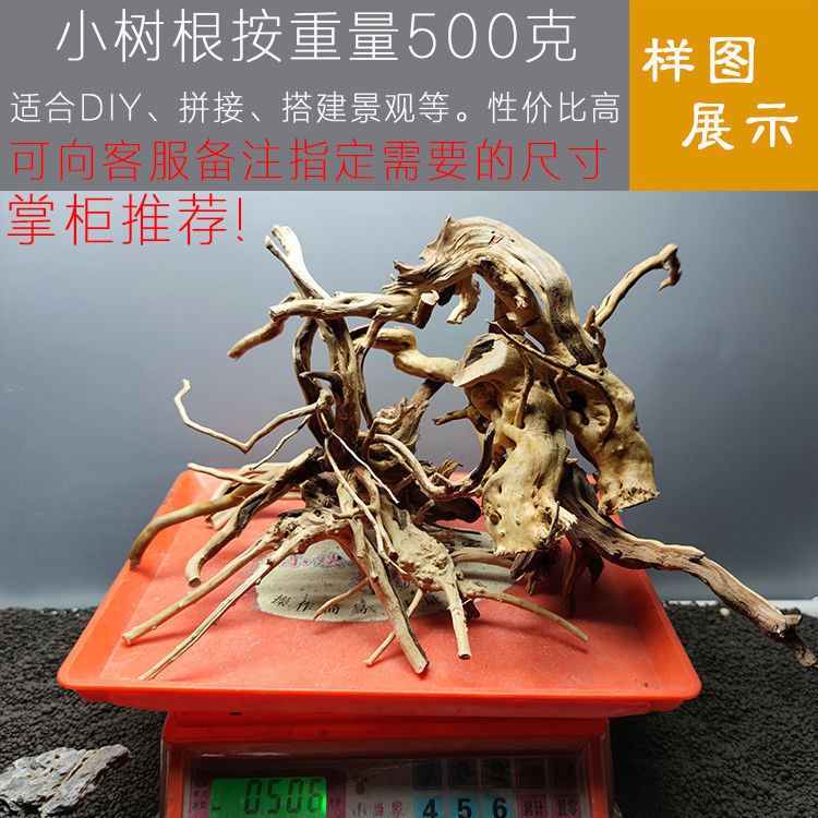 成品杜鹃木枝条鱼缸莫斯树枝一整套寄居蟹攀爬摆件沉木造景木爬宠|undefined