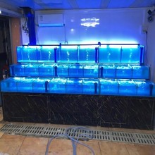 酒店海鲜池 固定式鱼缸 贝类池制作 水产海鲜池 固定式鱼缸 贝类