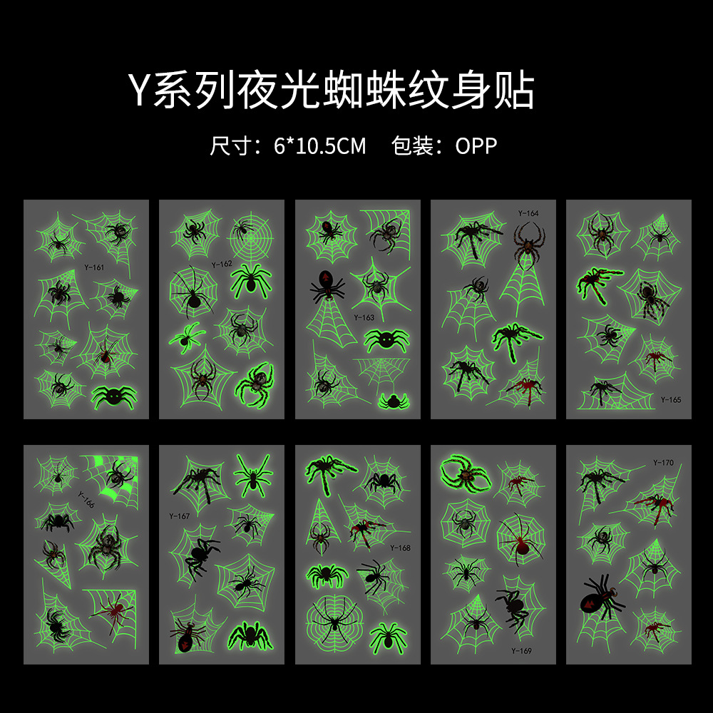 夜光蜘蛛夜光图册.png
