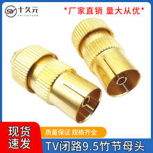 ����僽��о��ҕ���^ĸ���l�����^ 9.5���^RFĸ�^ �]·��TV�^