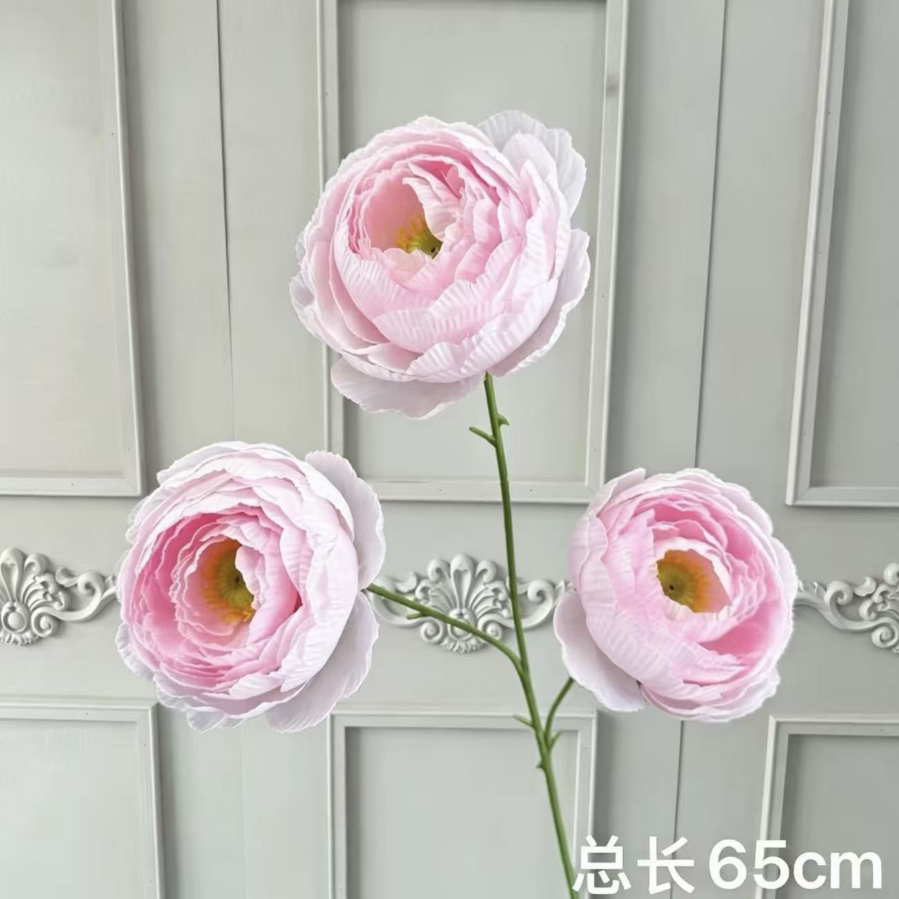핑크 모란