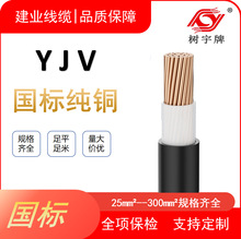 YJV銅芯電纜1芯10--300mm²國標保檢廠家批發現貨高壓電力電纜電