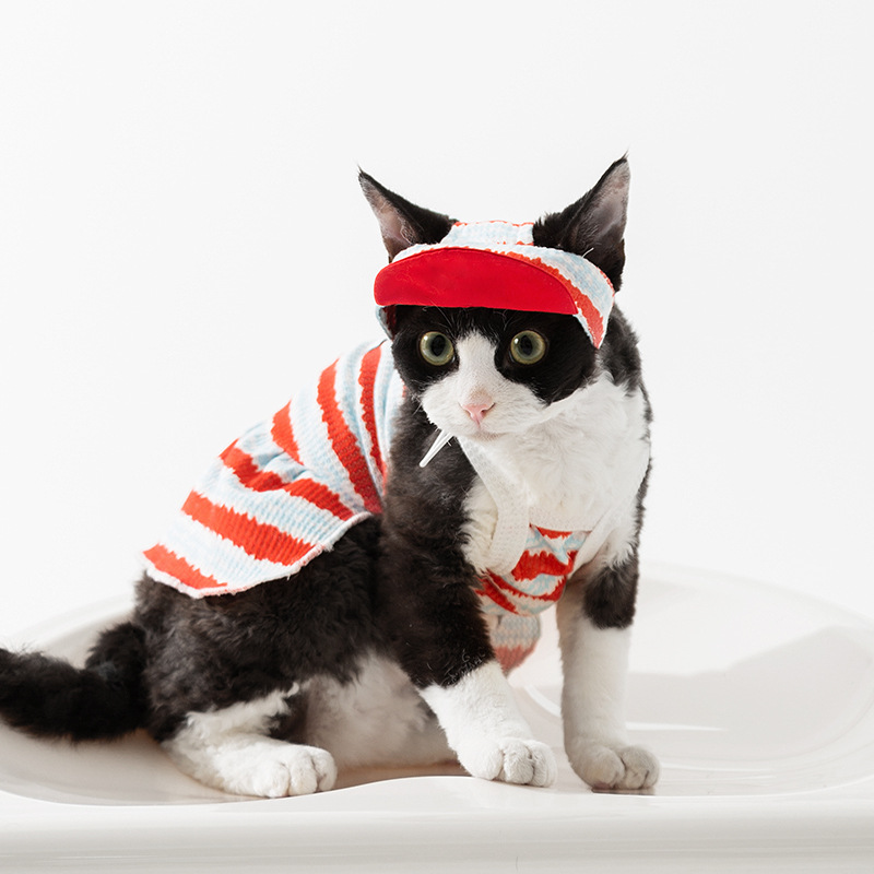 春夏季条纹猫咪背心吊带裙两脚无毛猫背心情侣装猫裙子宠物猫衣服