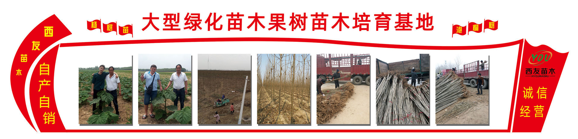 阿里巴巴详情上