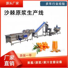 沙棘饮料生产线沙棘果清洗机沙棘原浆打浆机宁夏枸杞果汁加工设备