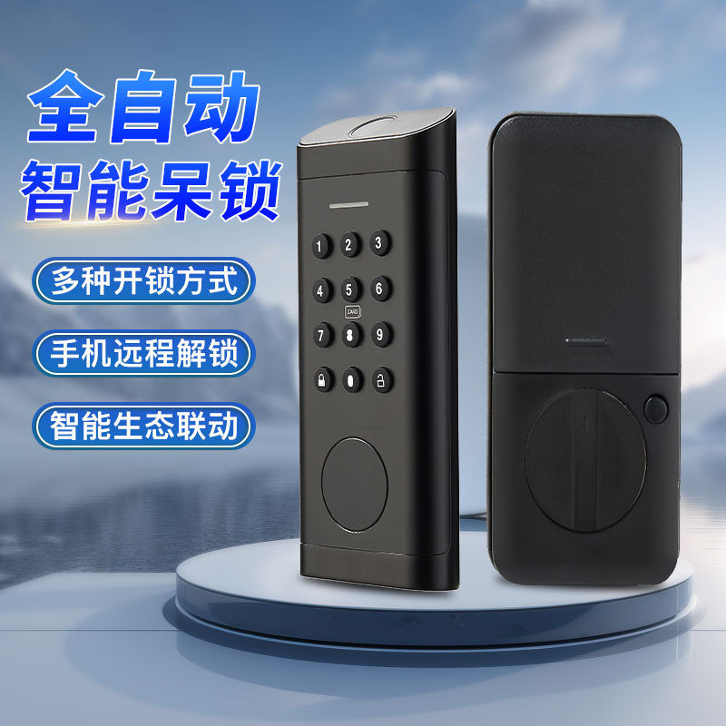 美标智能呆锁涂鸦通通指纹家用公寓远程WiFi APP密码锁厂家批发