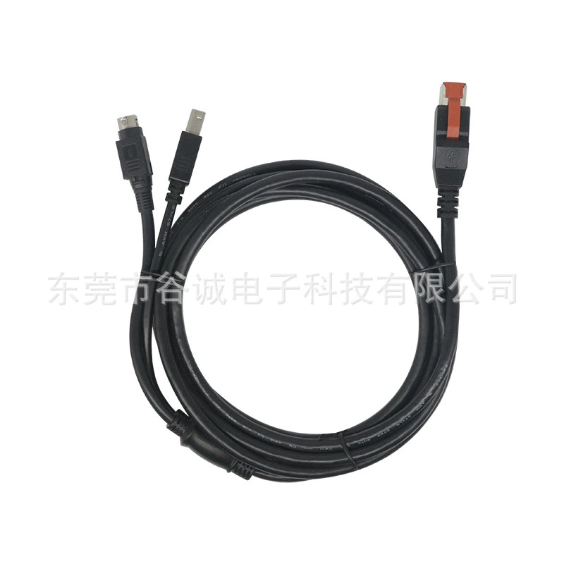 24V Powered USB male to one to two USB BM+3PIN Power Din data cable