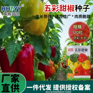 ����𽷷N�Ӳ���ˮ�������A���������N���̨���Դ��������N��