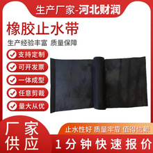 加工定制可卸式橡胶止水带背贴钢边可卸式渡槽 带双U型橡胶止水带