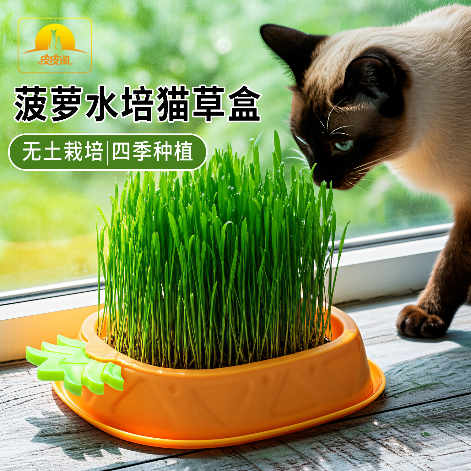 Bocadillos para gatos transfronterizos, semillas en macetas de pasto para gatos, cajas hidropónicas, bolas de pelo, vivero de pasto para gatos sin tierra, suministros para mascotas al por mayor