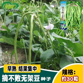 蔬菜种子;其他园林资材