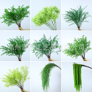 10֦�Gɫ��c���滨�Gֲ�����b���ɭϵ������·���������l����