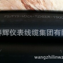 FS/FYS-WDZA-TZXEER-1500V܉ܛ|