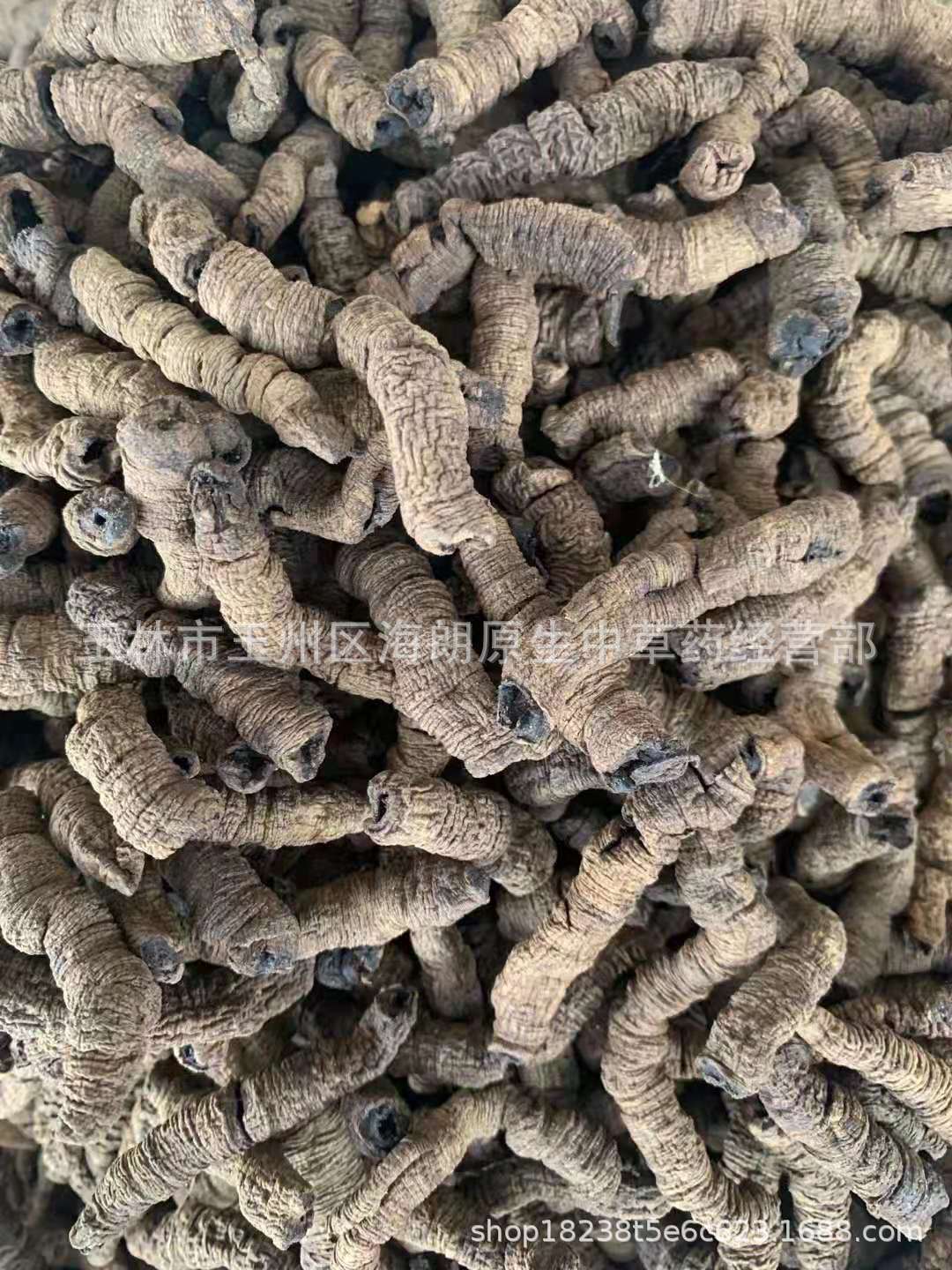 中药材制巴戟天条子中药材巴戟天肉炙巴戟天长期批量供应量大从优