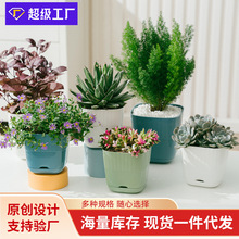 北欧简约树脂塑料大号多肉加厚小花盆厂家直销芦荟仿陶瓷绿植花卉