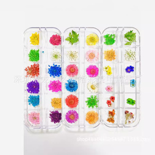 ���׸ɻ� �ٽz�� ѩ�黨����12ɫ�M���� ᘾջ� С�r���ջ���껨